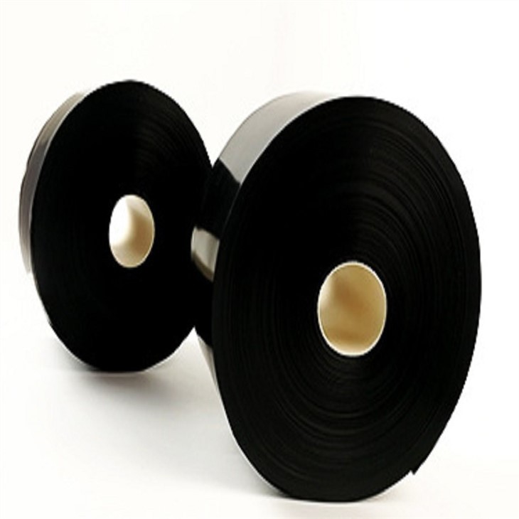 Electric Conductive Film Electric Conductive Film